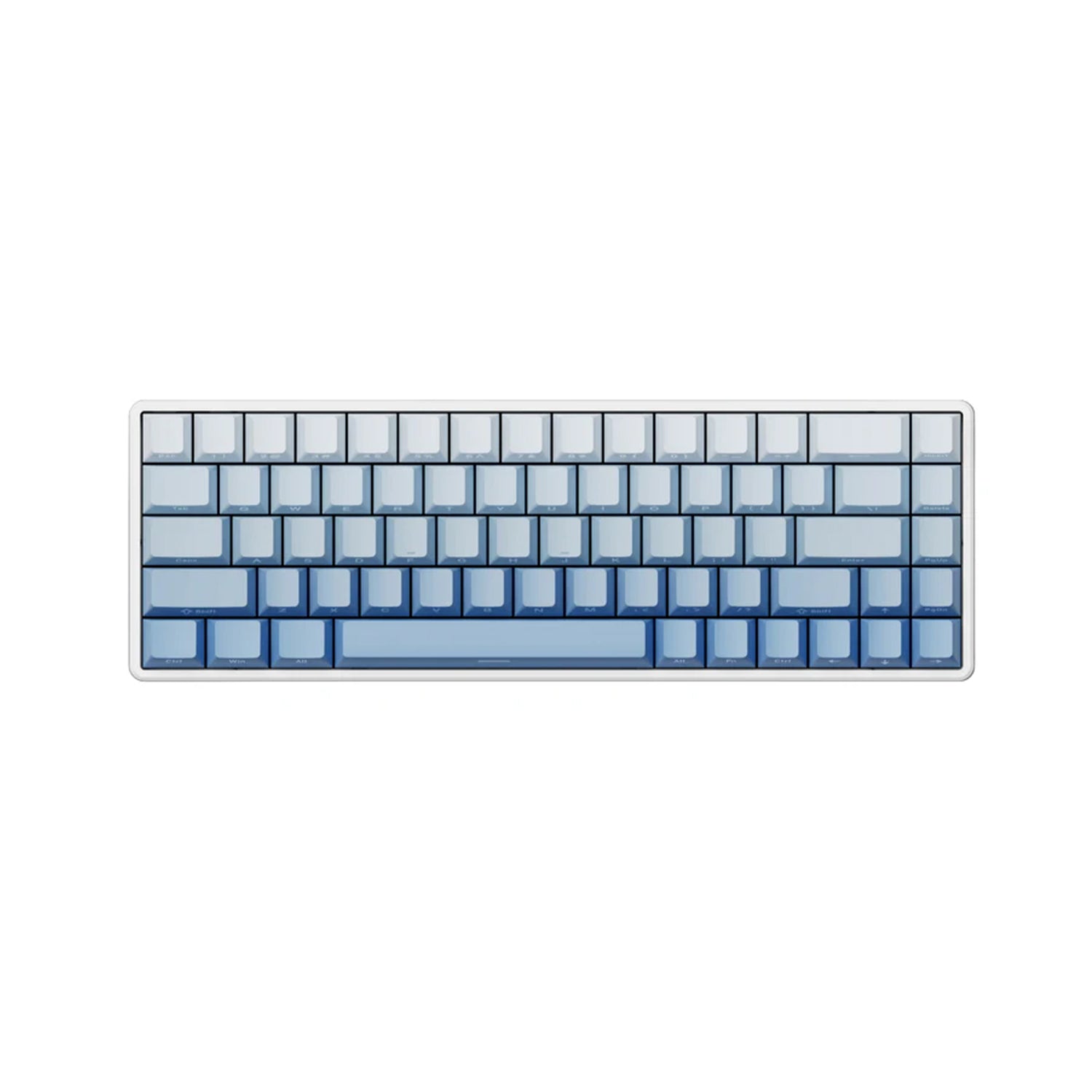 wraithesports.com