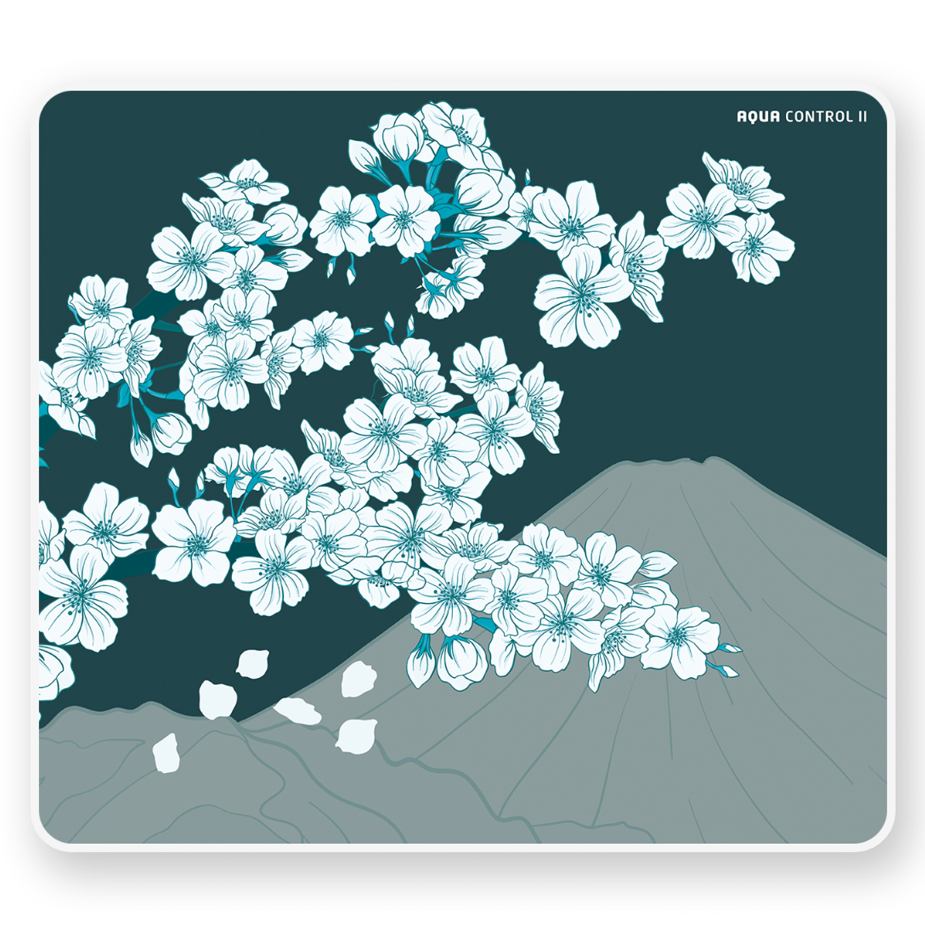 X-Raypad Aqua Control 2