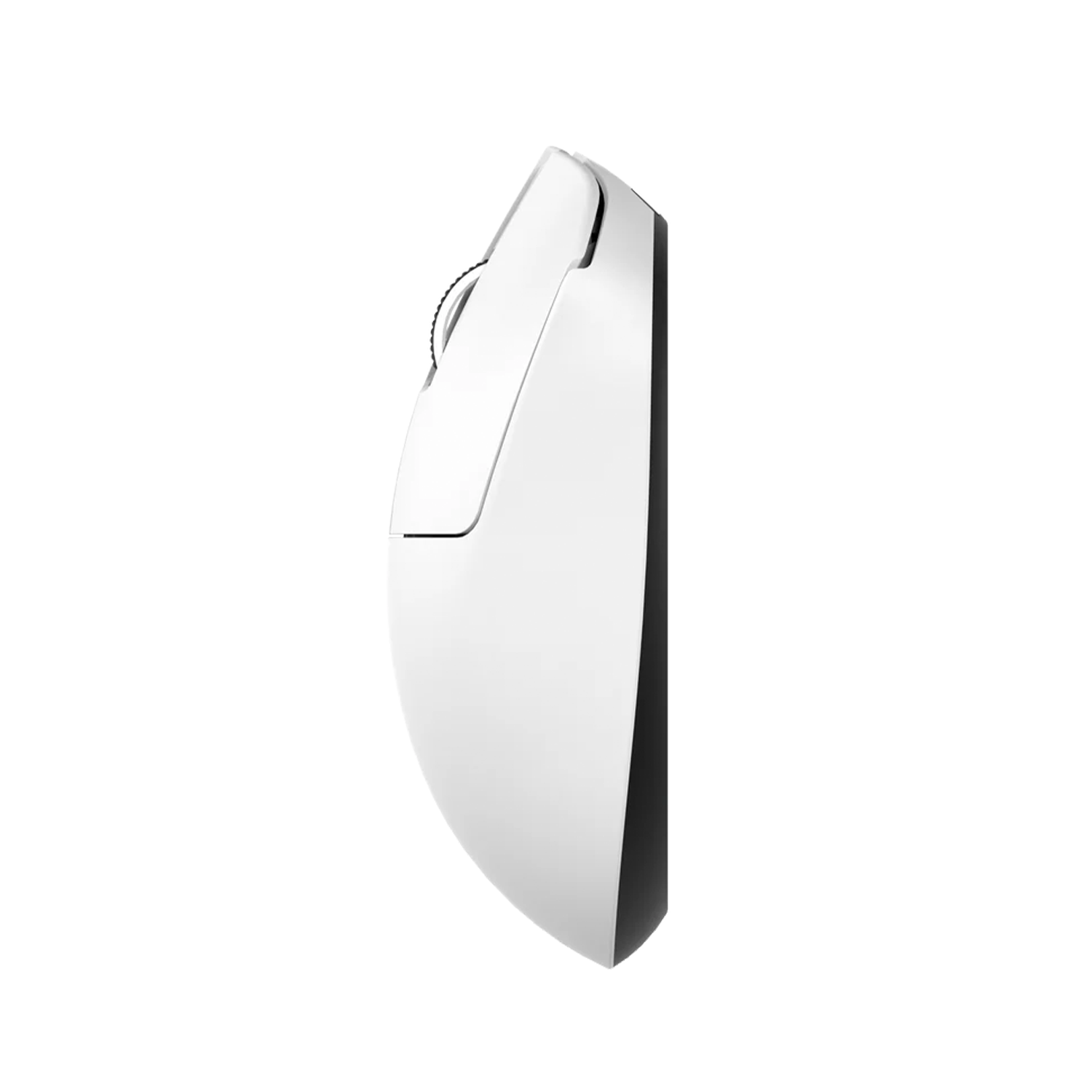 Teevolution Terra Pro Wireless Mouse