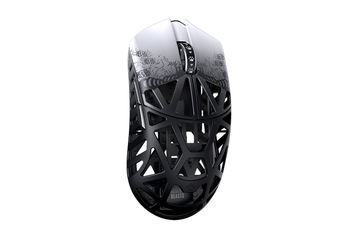 wraithesports.com
