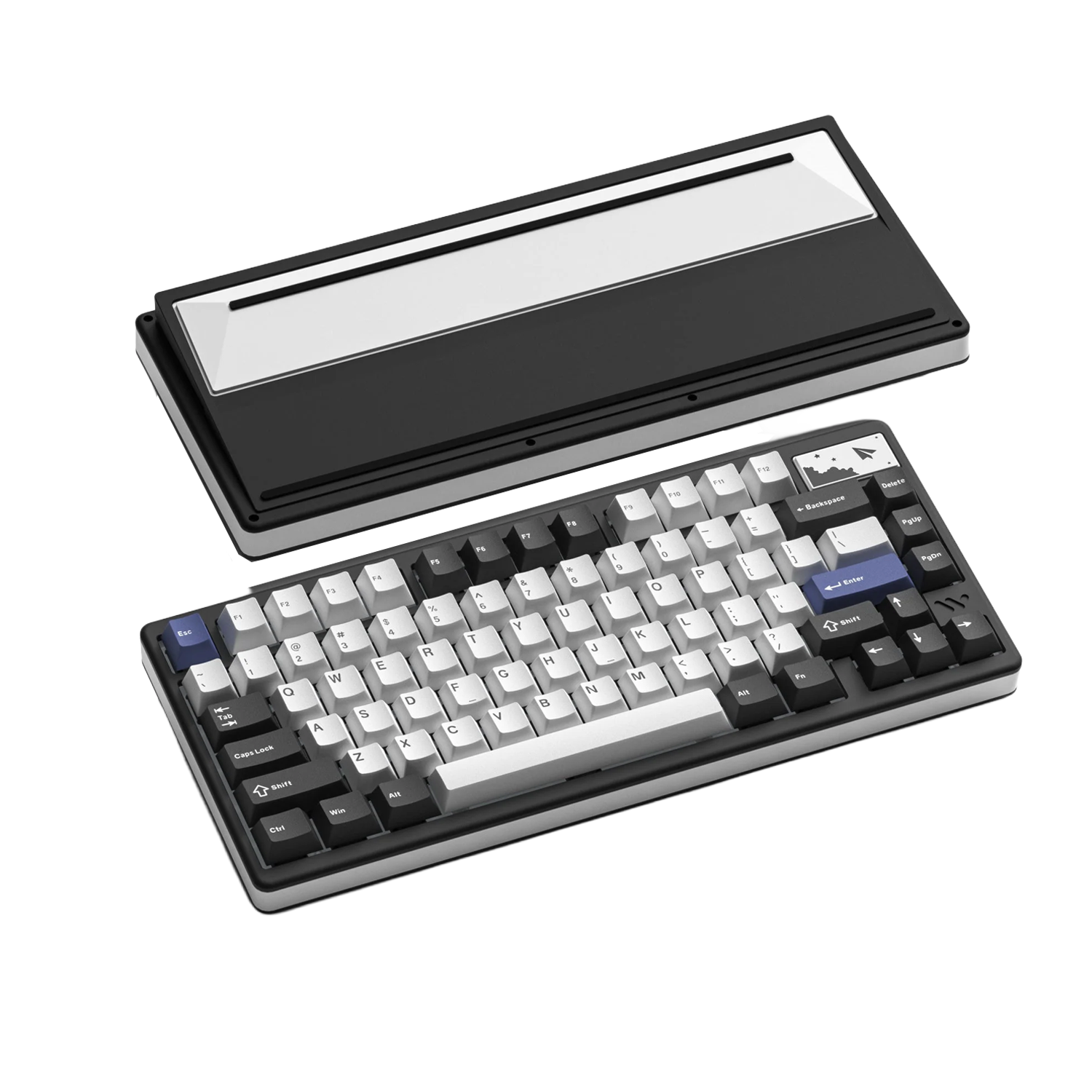 wraithesports.com