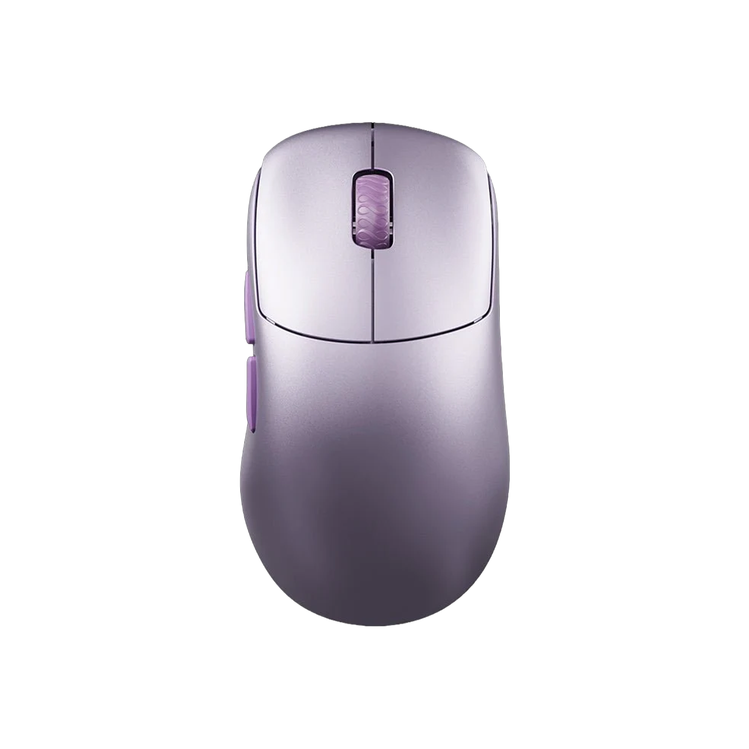 wraithesports.com